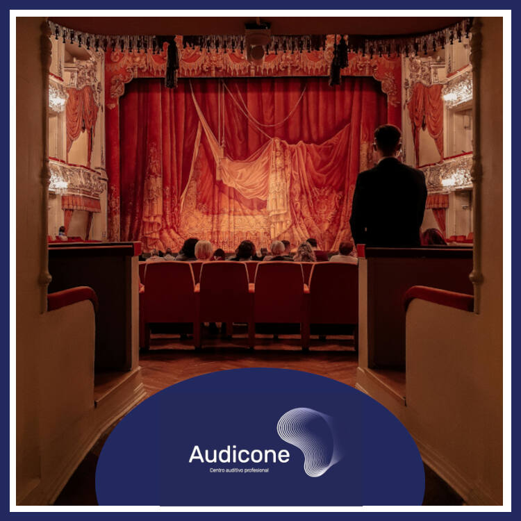 Accesibilidad auditiva